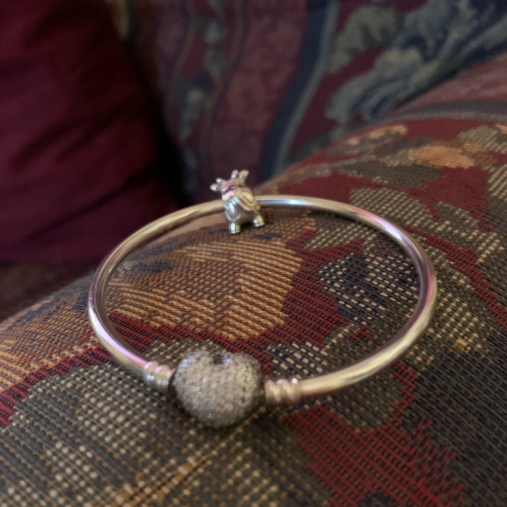 Authentic Pandora Bangle